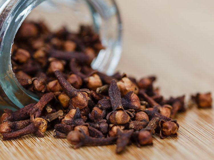 Clove showcase image 2