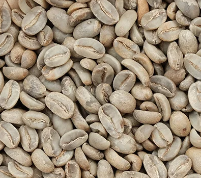 Coffee Flores