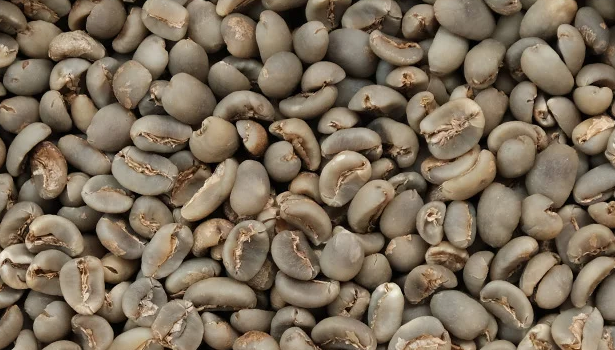 Coffee Gayo