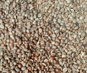 Coffee Robusta AP
