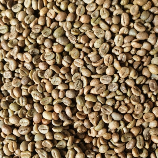 Coffee showcase image 2
