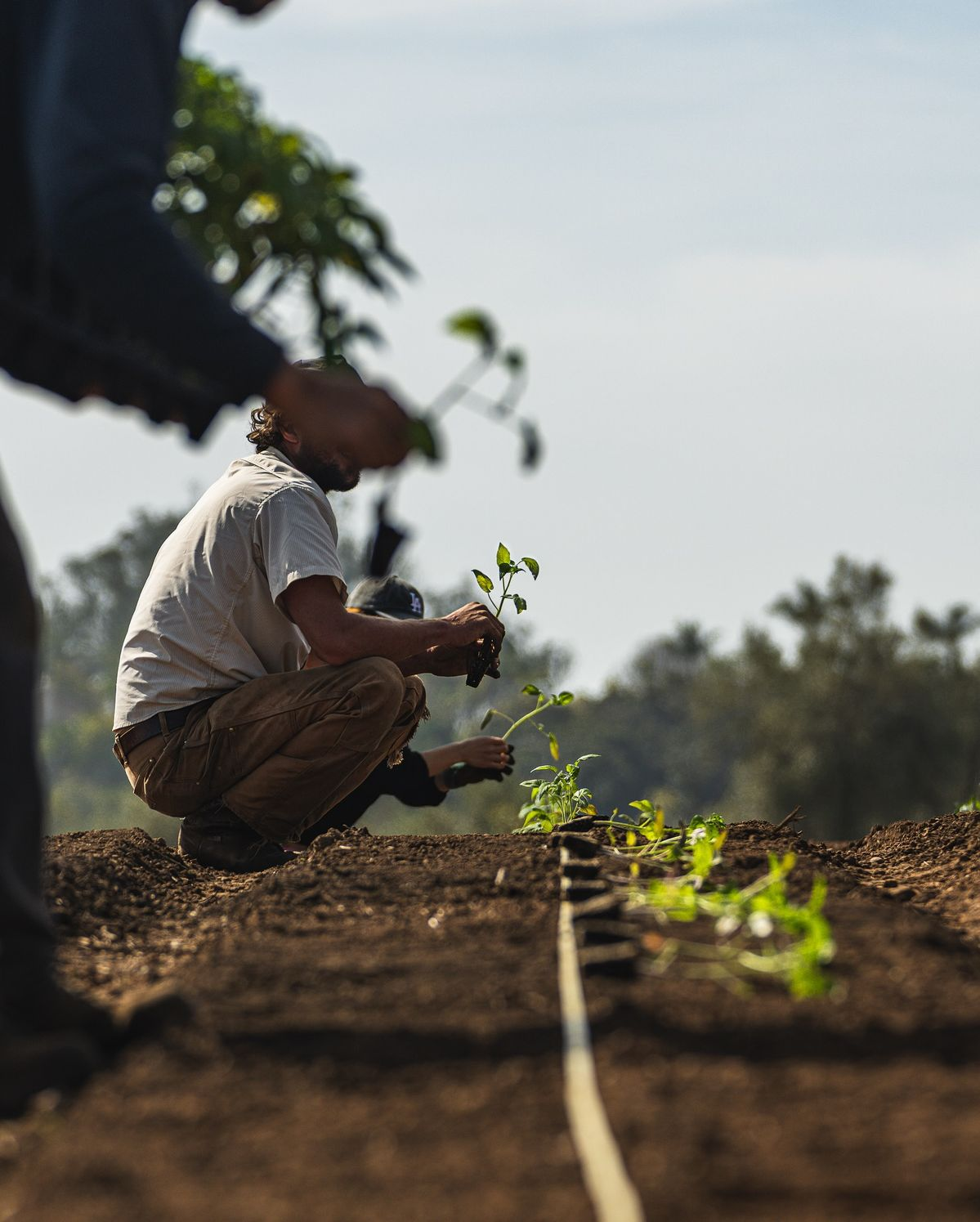 Precision farming